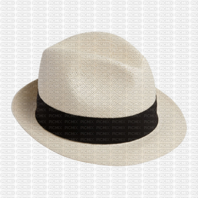 chapeau chic - 免费PNG