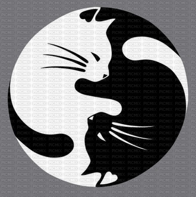 yin yang bp - Free PNG