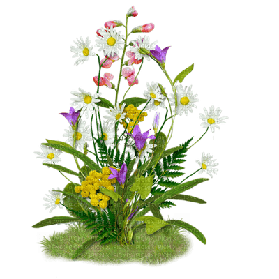 Kaz_Creations Deco Flowers Flower Colours - png grátis