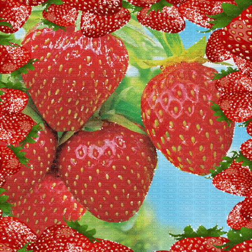 strawberry erdbeere milla1959 - Gratis geanimeerde GIF