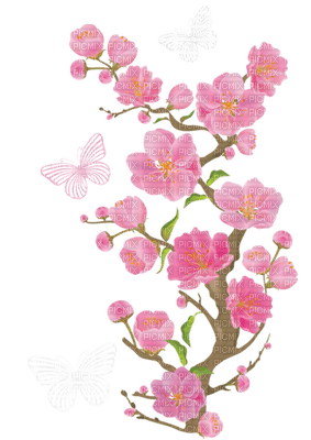 Kaz_Creations Flowers Flower Branch - безплатен png