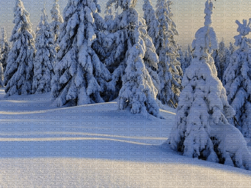 winter - GIF animado gratis