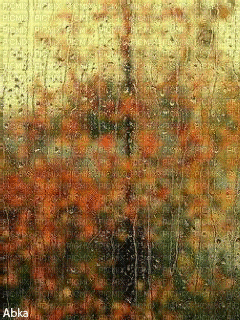 Rain.window.Pluie.Fond.gif.Victoriabea - GIF animado gratis