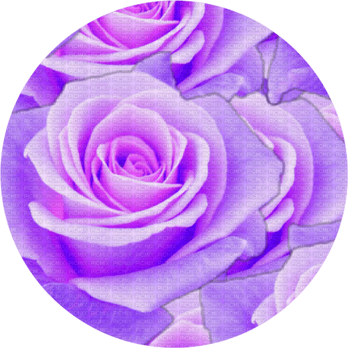roses  Bb2 - δωρεάν png
