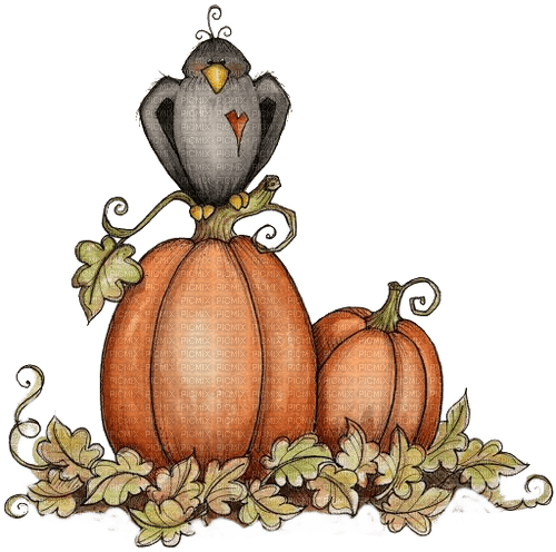 Herbst, Krähe, Kürbis, Autumn - ilmainen png