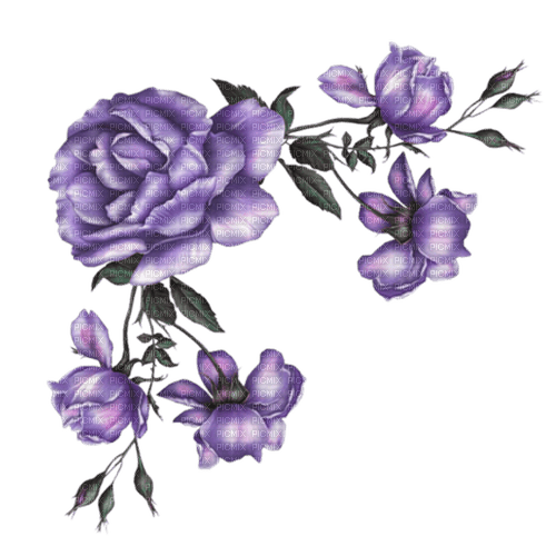 kikkapink deco overlay purple petal flowers - png gratis