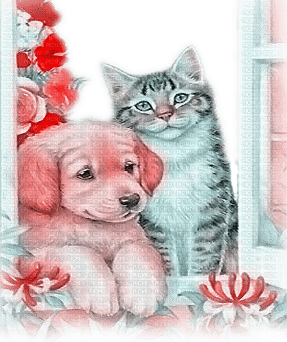soave dog cat animals friends windows flowers - png grátis