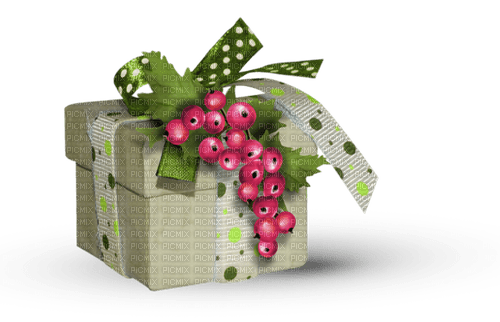 gala gifts - 免费PNG