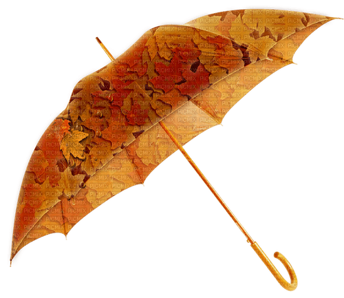Autumn Umbrela - Bogusia - безплатен png