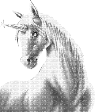unicorn white licorne blanc - 免费PNG
