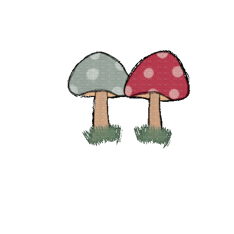 mushrooms - GIF animate gratis
