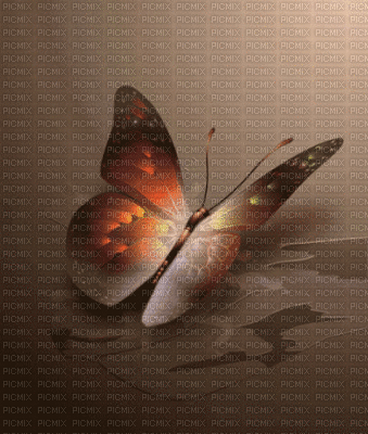 papillon sophiejustemoi - Бесплатный анимированный гифка