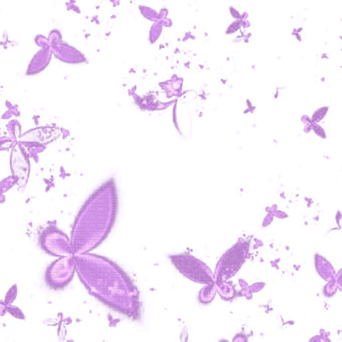 frame butterflies - PNG gratuit