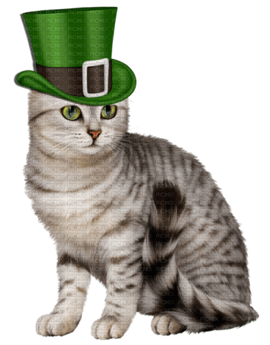Saint Patricks Day. Cat. Leila - png gratis