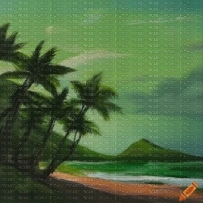 Palm Trees in Green - gratis png