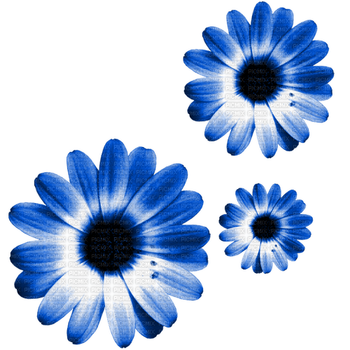 Flowers.Blue - nemokama png