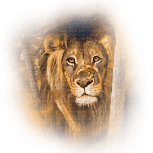 löwe lion - Free PNG
