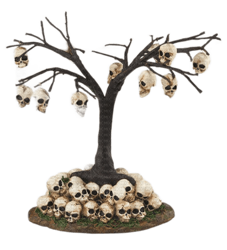 skull trees - PNG gratuit