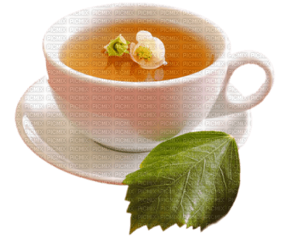 thé - PNG gratuit