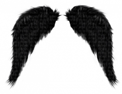 wings - δωρεάν png