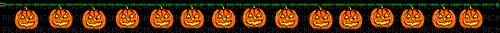 pumpkin banner - Zdarma animovaný GIF