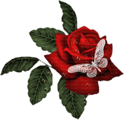 cecily-rose papillon - PNG gratuit