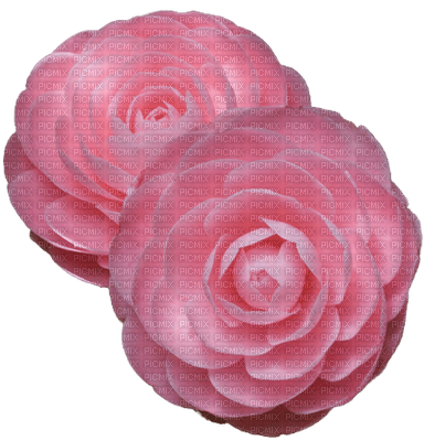 pink-flower - bezmaksas png