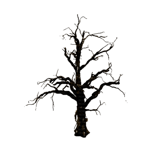 kikkapink deco scrap gothic tree black - png gratis