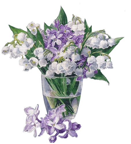 loly33 vase fleur muguet - besplatni png