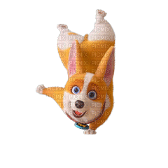 Flying dog moco - Бесплатный анимированный гифка