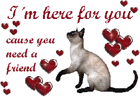 Kaz_Creations Text Friend Hearts Love Cat - Free animated GIF