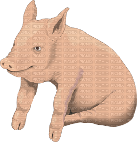 Kaz_Creations Pig - 免费PNG