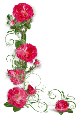 rosas by EstrellaCristal - 免费PNG