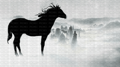 Horse - GIF animasi gratis