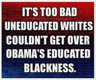 It's too bad...Obama's Educated Blackness - 免费PNG