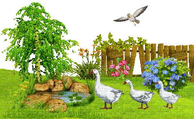 garden jardin fence fun summer ete vogel bird oiseau spring printemps deco tube animal gif anime animated oiseaux fond flower pond duck tree paysage fleur - Zdarma animovaný GIF