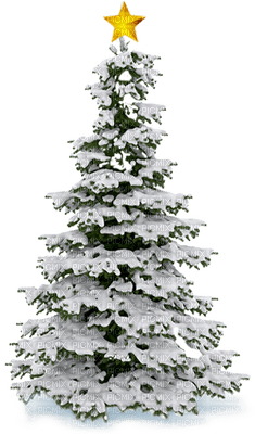 snow  tree -Nitsa - nemokama png