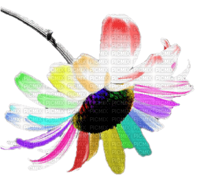 fleur multicolore.Cheyenne63 - Free PNG