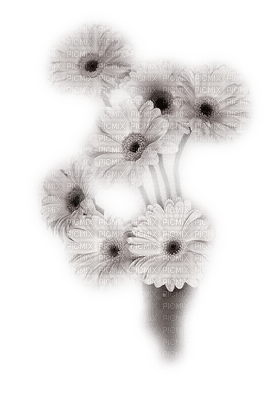 dulcineia8 flores - darmowe png