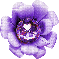 Flower.Purple - nemokama png