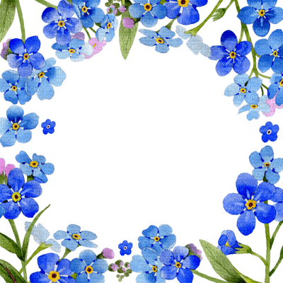 blue flower frame forget me not  cadre bleu fleur m'oublie pas fleur - zdarma png