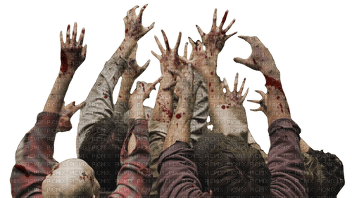 zombie hands - PNG gratuit