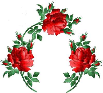 rose rouge fleur cadre rose red frame - nemokama png