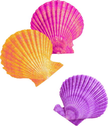 Seashells.Pink.Purple.Orange - ücretsiz png