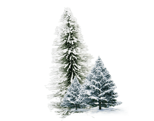 winter trees Bb2 - безплатен png