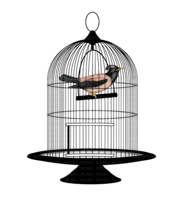 birdcage bp - gratis png
