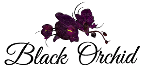 Black Orchid.text.Victoriabea - png gratuito