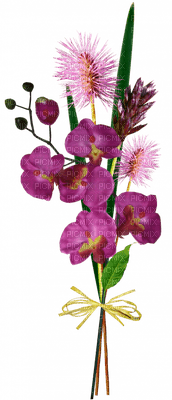 Kaz_Creations Deco Flowers Flower Colours