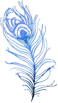 soave deco peacock feathers animated blue - Бесплатный анимированный гифка
