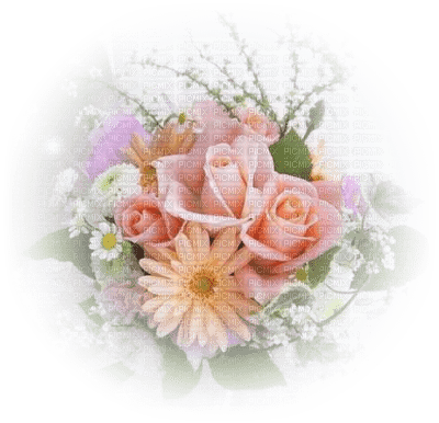 dulcineia8 flores - besplatni png